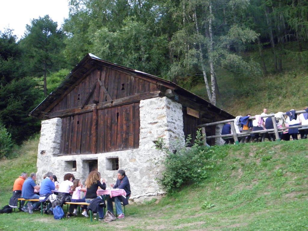 Chalet Alpenrose Bio Wellness Naturhotel Cogolo Eksteriør billede