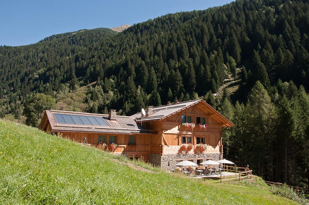 Chalet Alpenrose Bio Wellness Naturhotel Cogolo Eksteriør billede